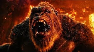 Godzilla X Kong The New Empire - FULL MOVIE | Godzilla New Movie | King Kong | Godzilla X Kong | HDR