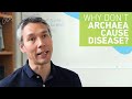 Understanding Pathogens and Archaea
