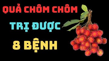 TIN VUI : 8 LỢI ÍCH CỦA QUẢ CHÔM CHÔM TRỊ ĐƯỢC 8 BỆNH | SỨC KHỎE TV.