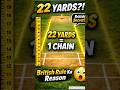 cricket pitch 22 yard ki kyu hoti he? #cricketnews#cricketfacts#cricket #yt#shortvideo#cricketlover