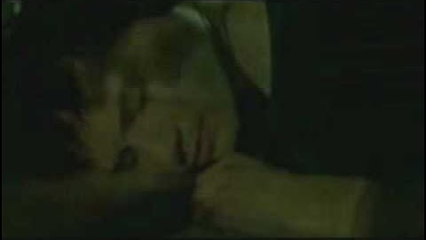 The Matrix: Follow the White Rabbit