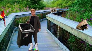 Save The Rainforest With GURP (GreenBot USB Recycling Program)