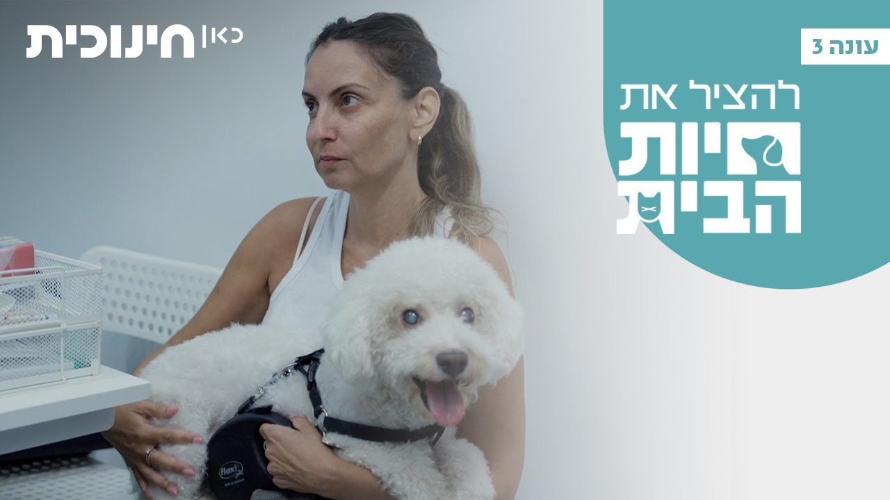 להציל את חיות הבית 3 🐶 | לג'וי החמוד יש קטרקט - הצצה מתוך פרק 6
