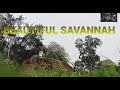 The beautiful grand savannah in trinidad and tobagocaribbean best