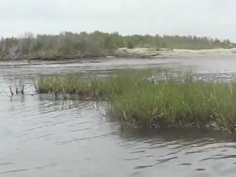 kayak tour ~Fenwick island little assawoman bay~ - YouTube