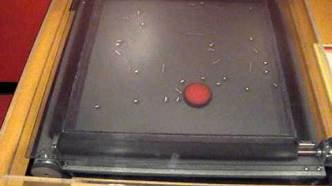 Brownian Motion_MVI_0080.avi