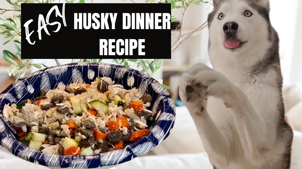 My Homemade Dog Meal Recipes Husky Nika Fell In LOVE With Easy And my-homemade-dog-meal-recipes-husky-nika-fell-in-love-with-easy-and