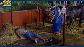 Meenakshi Dixit And Arvind Krishna Latest Telugu Movie Scene | @ThappakaChudandi9