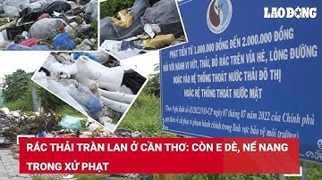 Rác thải tràn lan ở Cần Thơ: Còn e dè, nể nang trong xử phạt | Báo Lao Động