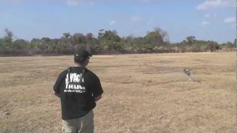 Learning 3D Chapter #8 Preview