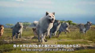 ウルフゲーム (Wolf Game) SNS広告その19 by きやすめ天六 / Kiyasume 106 92 views 3 months ago 31 seconds