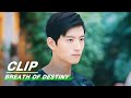 Clip tony yang johnny zhang  archie kao argue for a girl  breath of destiny ep33    iqiyi