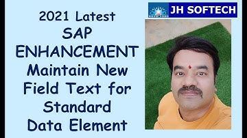 SAP Enhancement Maintain New Field Text for Standard Data Element