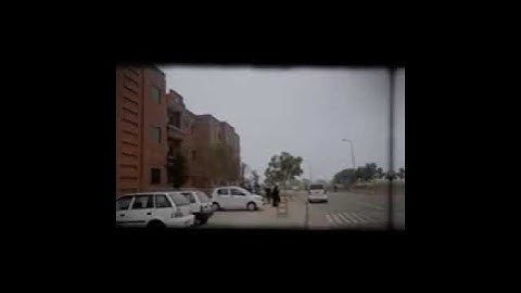 MNS university of agriculture Multan