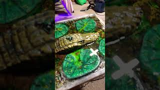 Last pour on the Epoxy Alligator River table
