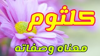 معنى اسم كلثوم وصفات من تحمل هذا الاسم !!