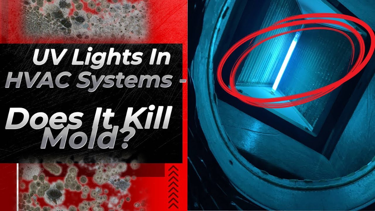 Do UV Lights In HVAC Systems Actually Kill Mold?