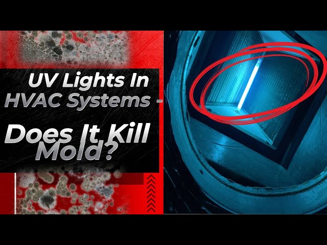 UV Lights in HVAC Systems - Does it Kill Mold? 
