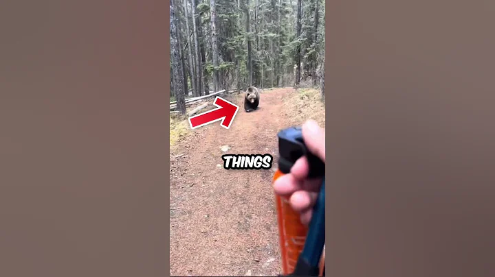 He Tried to Stop a Bear With Pepper Spray 😨