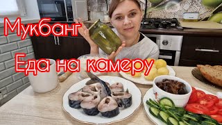 картинка: МУКБАНГ#еданакамеру Кто умеет закрывать огурцы на зиму? Делитесь рецептами..#мукбанг#скумбрия 