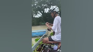 Câu tôm trứng, mưa lạnh quéo rung