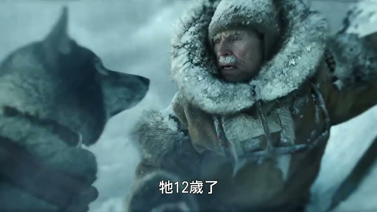 最新預告