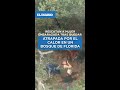 Rescatan a mujer embarazada y su familia tras quedar atrapados por el calor / El Diario