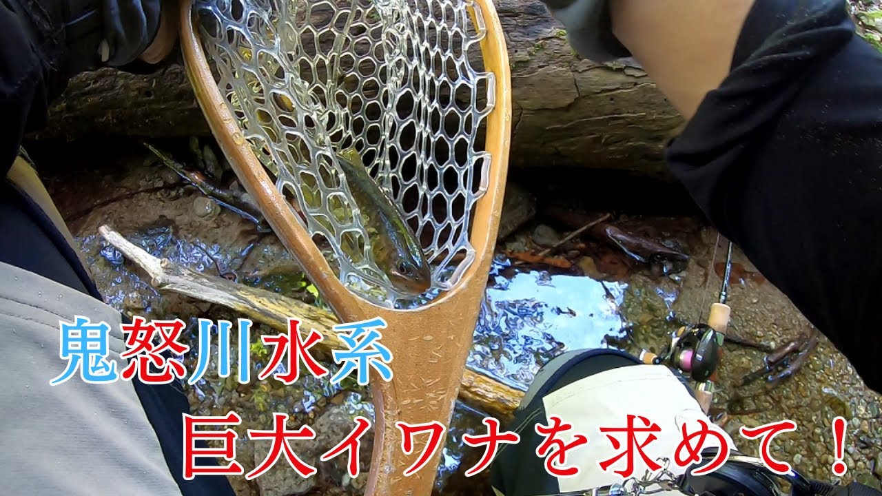 【鬼怒川水系】いまだ誰も釣ったことのない怪物イワナ