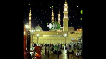 #القارئ_عبدالرحمن_مسعد #عبدالرحمن_مسعد #تلاوة_جميلة #ولاتجادلوا_اهل_الكتاب