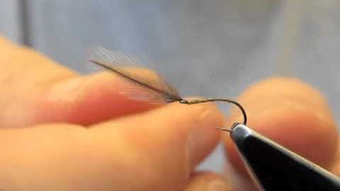 Softhackle wet fly - with split thread dubbed rib and thorax - tied by Hans Weilenmann