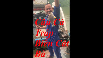 Câu Cá Tráp Ở Ngoài Biển Cát Bà Thật Thú Vị