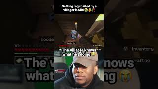 Rage baited by a Minecraft villager 😭✌️