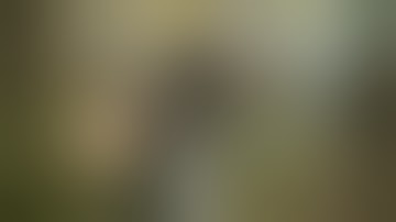 Oats Studios - Volume 1 - Firebase