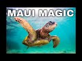 Planning Maui? Here's Exactly What to Do &amp; Where to Stay