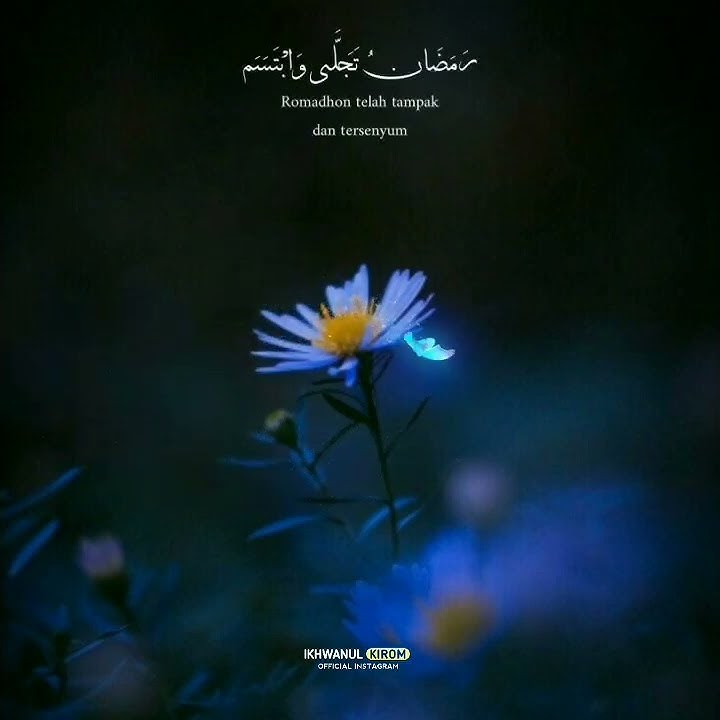 Story WA Islami | Ramadhan Tajalla | 19/03/22