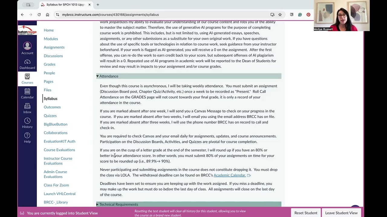 BRCC- Syllabus Overview