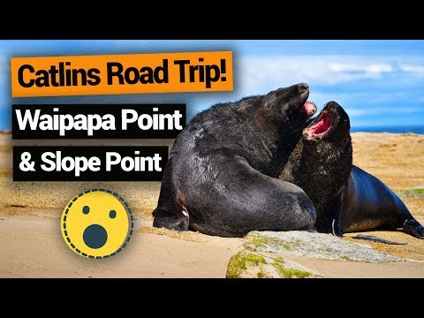 Vídeo: Guia Completo para os Catlins na Ilha Sul da Nova Zelândia