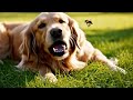 Bigfoot Party Crash: Bee's Wild Ride Ends in a Squish