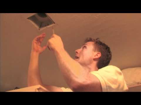 Scorpion Quick Facts: How Do Scorpions Get In The House - Air Conditioning Ducts