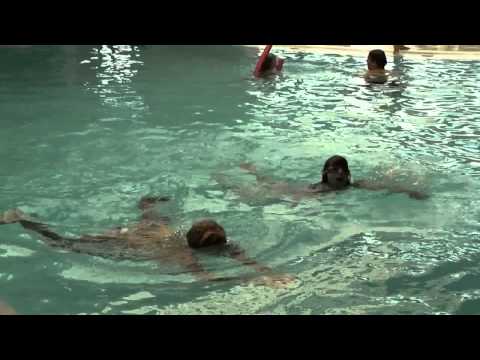 Video-thumbnail van Vakantiepark Sol a Gogo