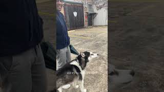 One Good Thing, Alexandra Potter