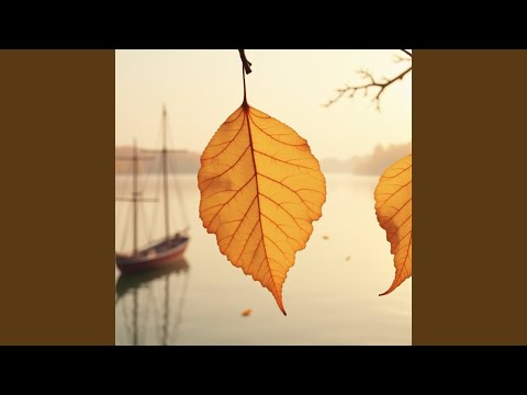 По разным сторонам