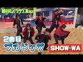 SHOW-WA 「ブルドッグ」(2曲目) 越谷レイクタウンkaze 2025/12/14