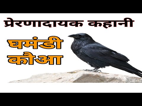 वीडियो: गंभीर रूप से लुप्तप्राय पक्षी प्रजातियों की पांच प्रेरक कहानियां जिन्हें वापस लाया गया था