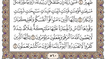 سورة التحريم مكتوبة / فضيلة الشيخ مشاري العفاسي
