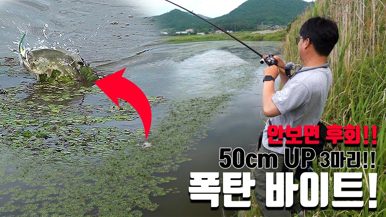 탑워터 받쳤다하면 런커 눈맛 손맛을 느낄 수 있는 프로그로 재밌는 배스낚시 하고 왔습니다 CHECKMATE ep.10]