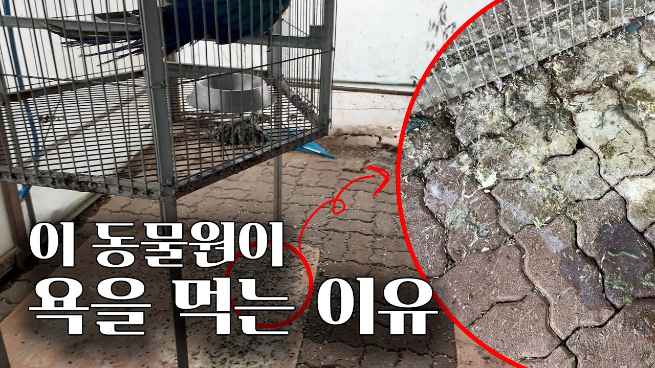 와..실화인가요ㅜ_구미 동물원