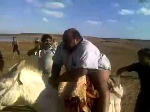 اتحداك ما تضحك ههههههههههه