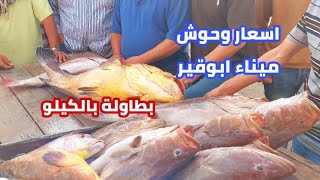 مزادات مينا ابوقير اسكندريه اليوم اسعار السمك بالطاولة وبالكيلو