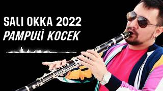 SALİ OKKA 2022  █▬█ █ ▀█▀ PAMPULİ KOCEK Resimi